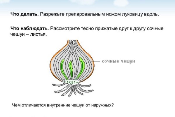 Актуальные ссылки на кракен тор