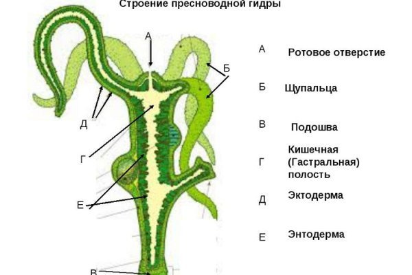 Ссылка кракен официальная тор