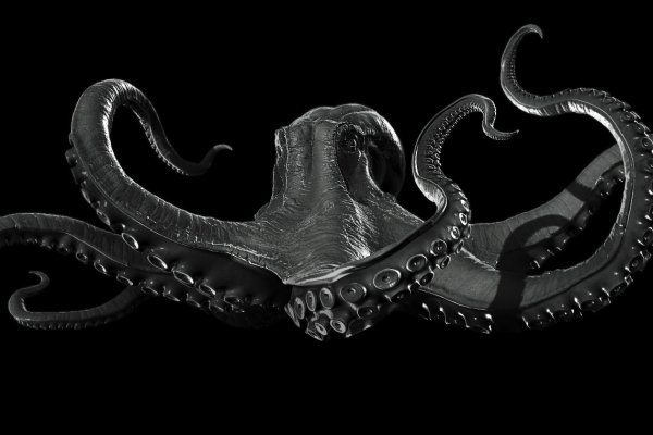 Kraken 24 at