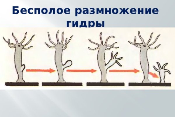 Замена гидры