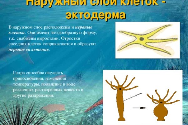 Даркнет заказ