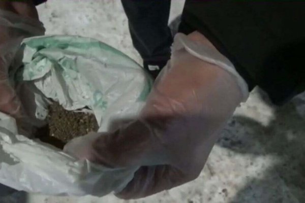 Кракен купить наркоту