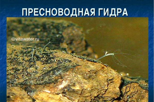 Вход в кракен чтобы купить меф